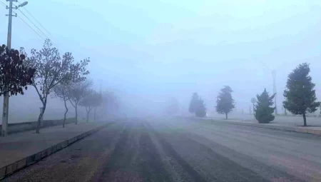 Karaman’da Yoğun Sis Trafiği Etkiledi